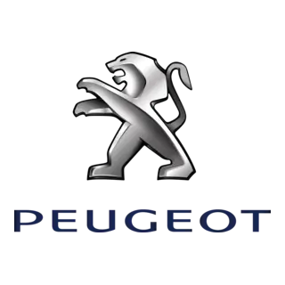 Peugeout-19